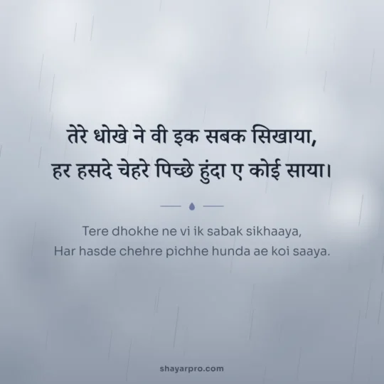 Punjabi Sad Shayari photo: Tere dhokhe ne vi ik sabak sikhaaya