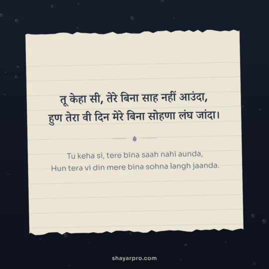 Punjabi Sad Shayari photo: Tu keha si, tere bina saah nahi aunda
